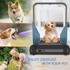 Dog Treadmill Small Dogs - Dog Treadmill for Medium Dogs - Dog Pacer Treadmill for Healthy & Fit Pets - Dog Treadmill Run Walk - as Pic